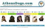 Athens Dogs