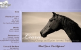 Flying Change Equine Therapy